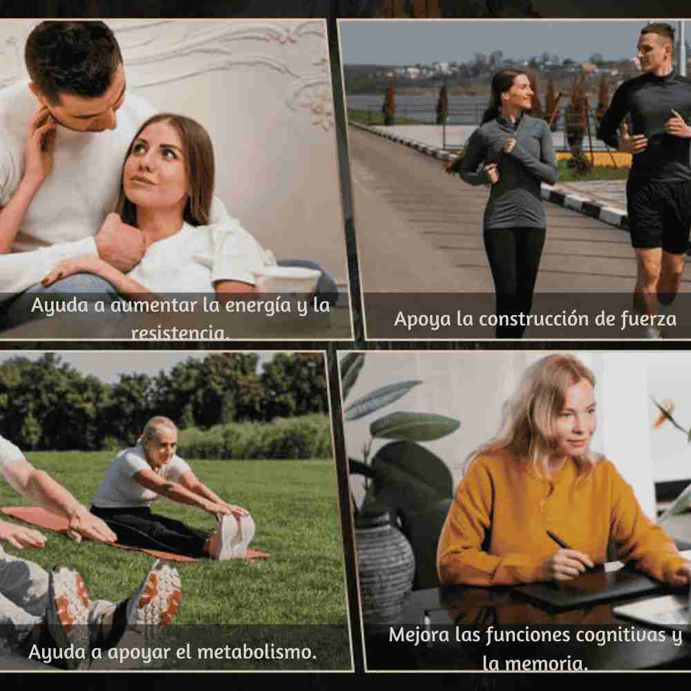 ¡No dejes pasar esta oportunidad! Lléva Shilajit y potencia tu vida al máximo